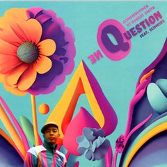 DJ Robert Smith & Schmiddlfinga - One Question (7-inch)