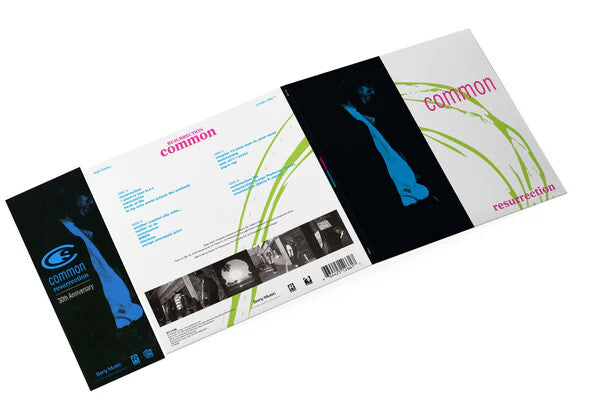 Common - Resurrection: 30th Anniversary (2x LP Muli-Colored Swirl Vinyl Edition LP)